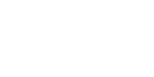 Logo 12