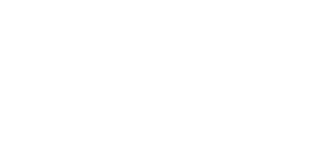 Logo 15