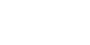 Logo 9